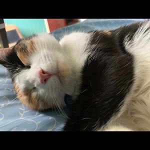 Meet your Posher, Isabel